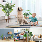 Rnined Adjustable Plant Stand Indoor,Bamboo Mid Century Modern Plants Stands, Stable Plant Holder,Fit 8 9 10 11 12 inch Pots (Pot & Plant Not Included) - color: walnut