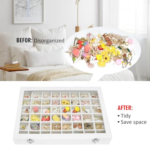 Vicoter Velvet Jewelry Tray 48 Compartments Jewelry Display Organizer with Transparent Cover Rings, Earrings, Necklaces, Pendants Storage Box for Girls, Wives, Mothers, Women - color: Ivory, size: 48 Grid
