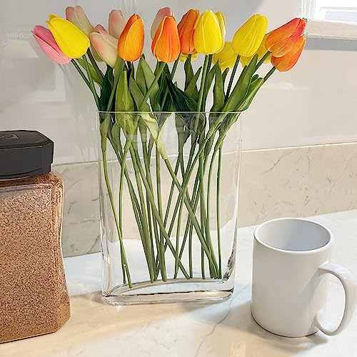 CYS EXCEL Glass Book Vase (H:10" Open:7"x2") Round Edge Oval Flower Vase Rectangular Wedding Centerpiece - size: H-10" Open-7"x2"