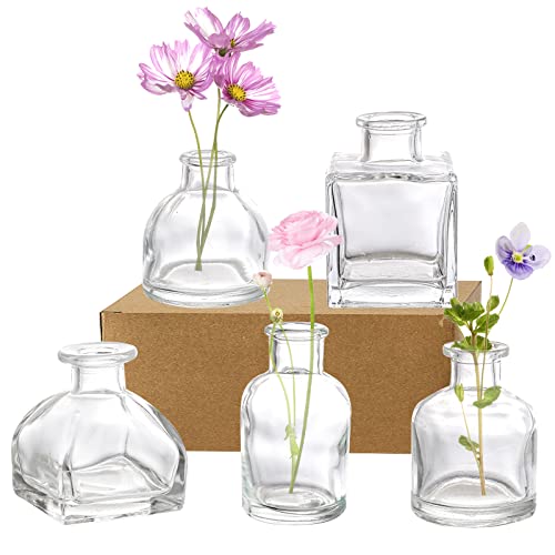 Hedume Set of 10 Small Glass Flower Vases, Clear Glass Bud Vases, Decorative Rustic Floral Vases, Mini Table Floral Vase for Home Decor Centerpieces, Events, Vintage Look