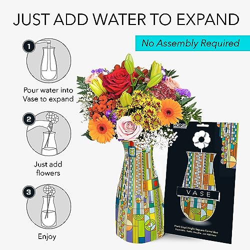 MODGY Collapsible and Expandable Flower Vase Plastic Decorative Modern Centerpieces Dining Table Decor Living Room Bathroom Wedding Office, Frank Lloyd Wright, Saguaro - style: Saguaro