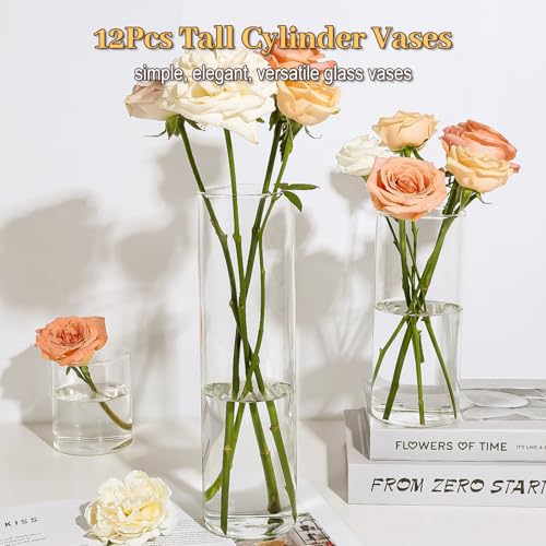 TBWIND 12Pcs Glass Cylinder Vases 12 Inch Tall Clear Flower Vases for Centerpieces Wedding Decoration, Hurricane Floating Candle Holder for Party Table Home Decor - size: 12 Pack 12 Inch