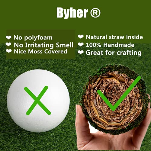 BYHER Natural Green Moss Decorative Ball,Handmade (3.5"-Set of 6) - size: 3.5"-set of 6