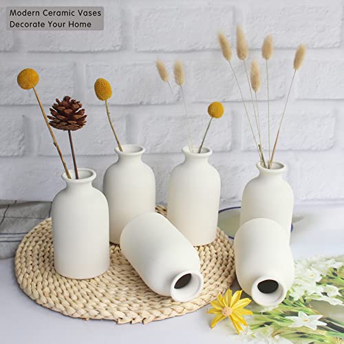 YANLING 6 Pack White Vase Small Ceramic Vases for Decor, White Vases for Flowers Boho Home Decor, Pampas Grass Dried Flowers Vases - color: White-a, size: 6 Pack-Small