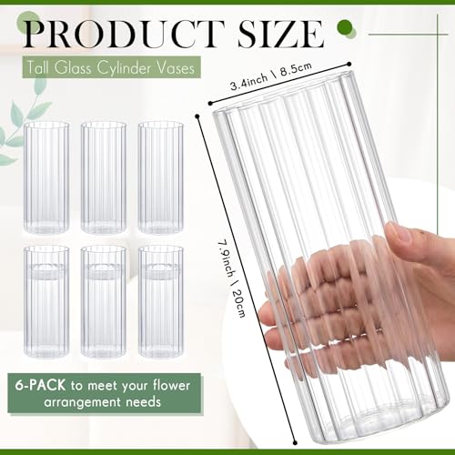6 Pcs 8 Inch Tall Glass Ribbed Cylinder Vases Clear Floating Candle Flower Vase in Bulk, Hurricane Candle Holder for Wedding Housewarming Gift Table Centerpieces - color: Clear, size: 8 Inch