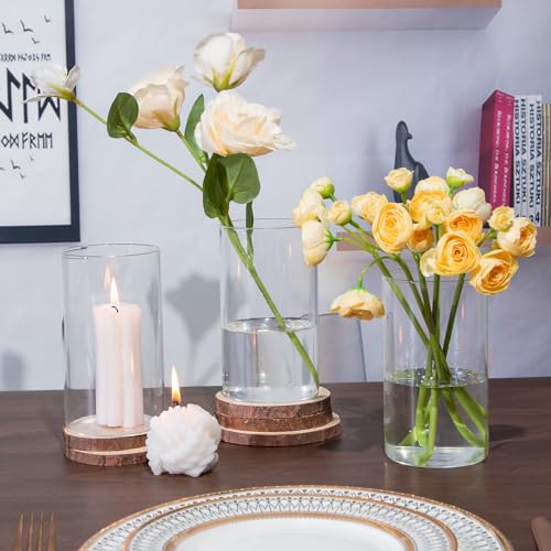 TBWIND 12pcs Glass Cylinder Vases for Centerpieces, 6 Inch Clear Flower Vases for Wedding Decorations and Indoor Home Decor, Hurricane Candle Holder for Table Shelf, Party - size: 12 Pack 6 Inch