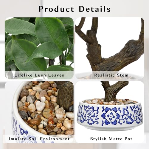 Artificial Bonsai Tree, Small Ficus Bonsai Trees 13" Indoor Bonsais Tree Fake Potted Plant Decorative Fake Desk Plant Decor with Ceramic Pot for Home Office Living Room Bedroom Bathroom Table Shelf - style: French