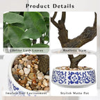 Artificial Bonsai Tree, Small Ficus Bonsai Trees 13" Indoor Bonsais Tree Fake Potted Plant Decorative Fake Desk Plant Decor with Ceramic Pot for Home Office Living Room Bedroom Bathroom Table Shelf - style: French