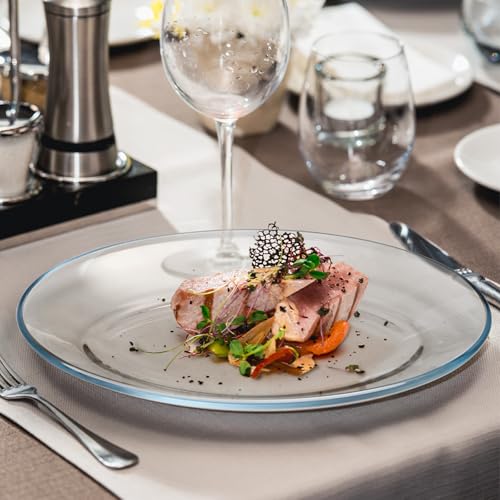 NUTRIUPS 2 Pack Tempered Glass Oval Serving Plates Oven, Microwave, Dishwasher Safe, Stackable, Serving Platters, Serving Dishes for Entertaining, Dessert Taco and Sushi (Large) - size: Large