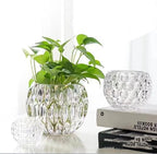 Glass Flowerpot, Planters,Vase, Hydroponic Flowerpot, Candy Bowl, Candlestick,Key Bowl,Decorative Bowls (A) - style: A