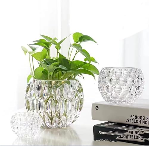 Glass Flowerpot, Planters,Vase, Hydroponic Flowerpot, Candy Bowl, Candlestick,Key Bowl,Decorative Bowls (A) - style: A
