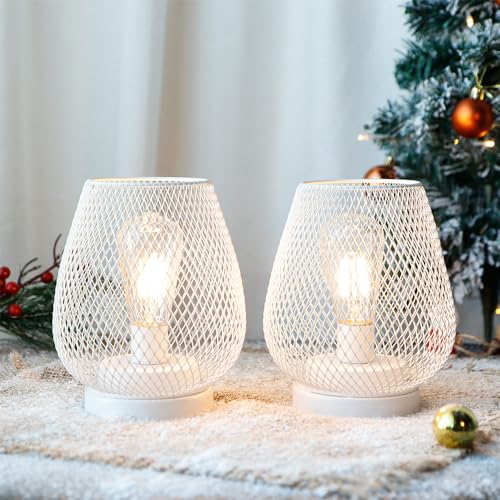 JHY DESIGN Set of 2 Metal Cage LED Lanterns Battery Powered Cordless Accent Light with LED Great for Weddings Parties Patio Events for Indoors Outdoors(White) - style: Set of two White egg