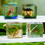 4Pcs Insect Taxidermy in Resin, Interesting Square Microlandscape Insect Specimen Set for Back-to-School Gifts Oddities Bug Collection Paperweights Science Education Supplies (1.57x1.57 inch) - color: Insect A