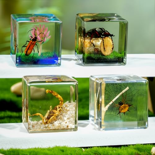 4Pcs Insect Taxidermy in Resin, Interesting Square Microlandscape Insect Specimen Set for Back-to-School Gifts Oddities Bug Collection Paperweights Science Education Supplies (1.57x1.57 inch) - color: Insect A