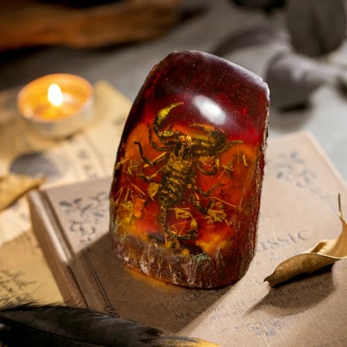 Real Scorpion Specimen in Synthetic Amber - Tree Stump Design, for Science Education, Oddities Collectors, and Nature Enthusiasts - color: Scorpion Specimen (3.94" X 2.76")