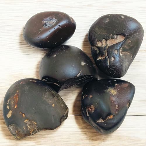 Rare Lakshmi Narayan Shaligram Shila Stone 2" inch from Gandaki River Nepal – 1 Pc Black Shaligram Ji for Pooja, Hindu Rituals, Spiritual Decor & Religious Gifts