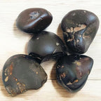Rare Lakshmi Narayan Shaligram Shila Stone 2" inch from Gandaki River Nepal – 1 Pc Black Shaligram Ji for Pooja, Hindu Rituals, Spiritual Decor & Religious Gifts