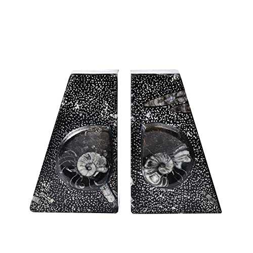 AMOYSTONE 1Pair Decorative Heavy Bookends 6-8 LBS Trapezoid Authentic Natural Orthoceras Fossil Shell Polished Height 6.2" - color: Black & White a, size: 6-8 Lbs