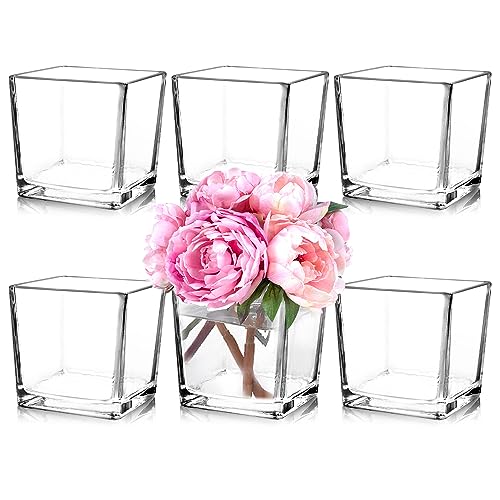 Set of 6 Square Glass Vases 5" x5" x 5", Clear Flower Vases for Centerpieces, Candle Holder for Wedding Party Events, Home Décor - size: 5inch