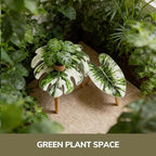 BAMEOS Monstera Leaf Nesting Tables Set of 2, Small Side Tables f Set with Leaf Vein Pattern, Modern Wooden CoffeeTables for Living Room Bedroom Apartment Balcony Yard - color: White Monstera