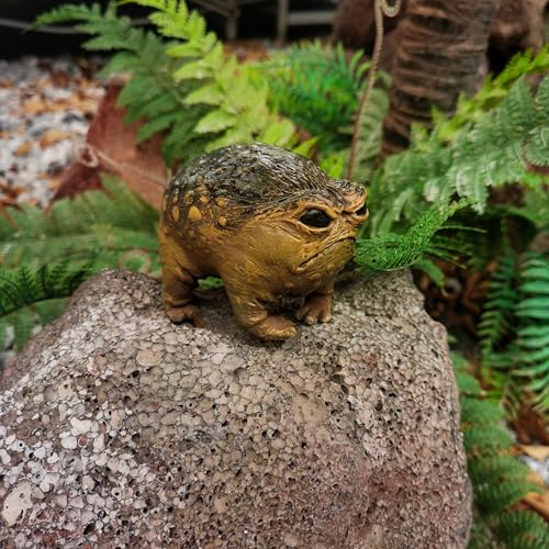 MOLMH Weird Queer Grumpy Frog Toad Statue Ugly Angry Outdoor Garden Yard Decor Statue Fun Novelty Home Office Decor Sculpture Unique Gift