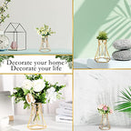 Roshtia 8 Set Gold Glass Vase for Centerpieces Metal Geometric Test Tube Vase Modern Hydroponic Flower Stand with Glass Cylinder for Flowers Plant Wedding Office Home Centerpiece (6.3 Inch)