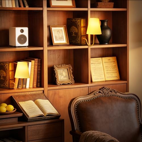 AELS Vintage Bookshelf Lamp with Bulb, Table Lamp with Linen Shade, 3-Color Dimmable Touch Control, Modern Farmhouse, Book Sconce for Office Home Bedroom Bookshelf, Tree of Life Brown & Gold - color: Tree of Life Brown, size: Plug-in Model