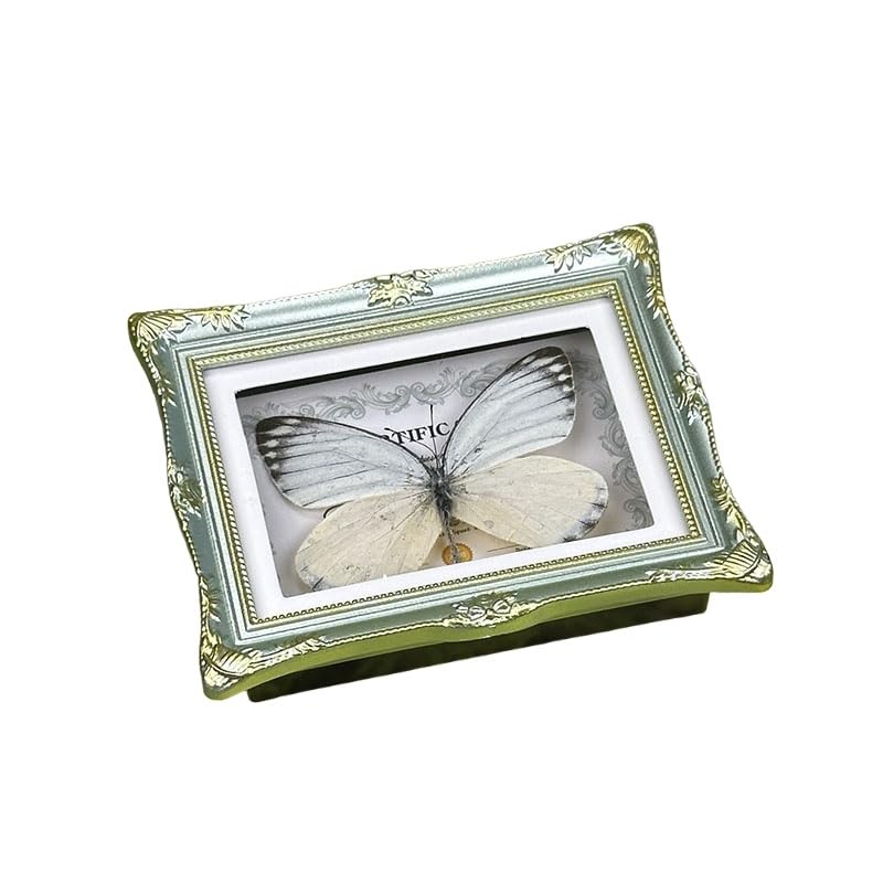 1Pcs Real Butterfly Framed Handmade, Taxidermy Butterfly Shadow Box Collection, Framed Butterfly Taxidermy for Oddities and Curiosities Gifts Tabletop Ornaments (L-Butterfly Specimen+Photo Frame) - color: L-butterfly Specimen+photo Frame