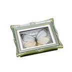 1Pcs Real Butterfly Framed Handmade, Taxidermy Butterfly Shadow Box Collection, Framed Butterfly Taxidermy for Oddities and Curiosities Gifts Tabletop Ornaments (L-Butterfly Specimen+Photo Frame) - color: L-butterfly Specimen+photo Frame