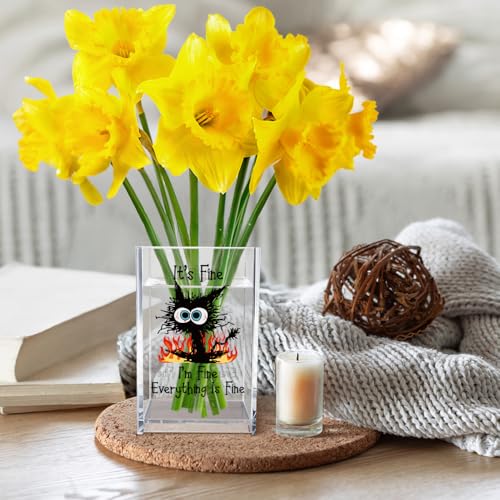 It's Fine I'm Fine Acrylic Cosmetic Pencil Pen Holder Cup, Funny Black Cat Pen Holder Cup, Cat Lover Gift for Women Men, Office Sarcastic Gifts for Women Men Colleague Boss - style: It's Fine