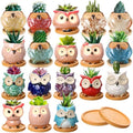Cindeer 18 Pcs 2.5 Inch Owl Ceramic Succulent Planter Pots Mini Small Ceramic Pots with Drainage Hole and Bamboo Tray for Succulents Glaze Cactus for Home Garden Office Desk Decoration Gift Ideas - style: Owl