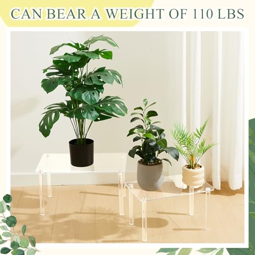 RattanView 3 Pcs 16, 15, 14 Inch Acrylic Risers Display Stands Rectangular 4-leg Acrylic Plant Stand, 6mm Thick Clear Shelf Riser Display Stands for Decor Collectibles Figures and Item Photography - size: 16×10×8 In，15×9×7 In，14×8×6 in