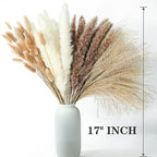 300 PCS Dried Flower Bouquet – Pampas Grass, Floral Decor for Home, Wedding, and Boho Style | Perfect for Vases, Fall, Spring, Summer, and Winter Arrangements - size: 300PCS