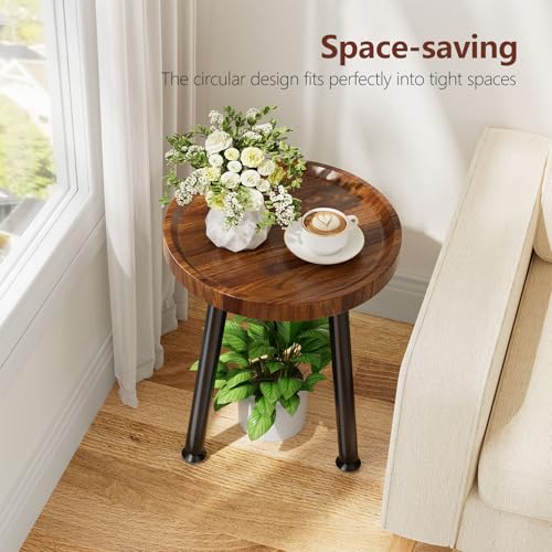 Ekisemio Plant Stand Outdoor Indoor, Mid Century Wood Side Table with Walnut Finish & Raised Edge, Modern Small End Table for Living Room (12.5"x18")