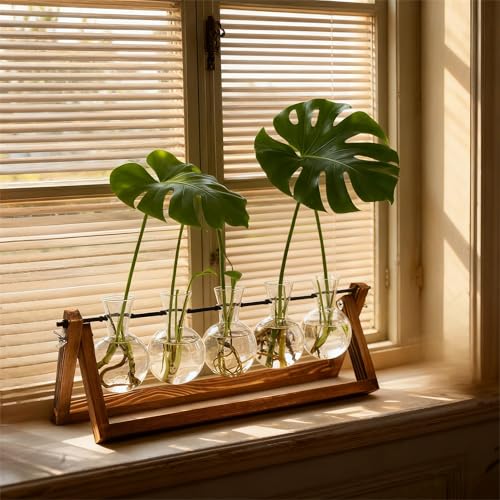 Renmxj Plant Propagation Station, Propagation Vases for Plants, Unique Gardening Birthday Gifts for Women Plant Lovers Mom Best Friend - 5 Bulb Glass Vases - size: 5 Bulb Vase