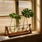 Renmxj Plant Propagation Station, Propagation Vases for Plants, Unique Gardening Birthday Gifts for Women Plant Lovers Mom Best Friend - 5 Bulb Glass Vases - size: 5 Bulb Vase