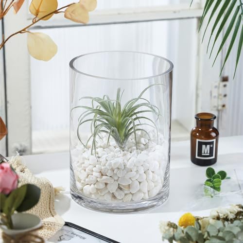 6" Wide 8" High Large Hand Blown Sturdy Clear Cylinder Glass Vase, Centerpiece Flower Vase for Rose, Tulip, Boquets, Hurricane Candle Holder (1, 6"x8") - size: 6"x8"