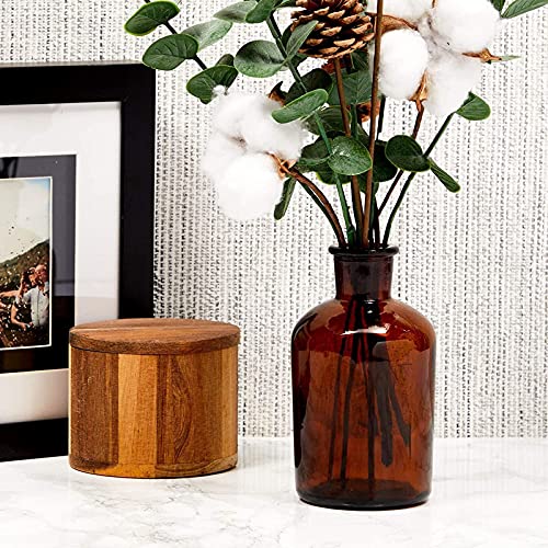 Farmlyn Creek 6 Pack Small Glass Vases for Centerpieces, Amber 7.5 oz Propagation Jars for Flowers, Table Centerpieces, Apothecary, Home Decor (2.8 x 5 in)