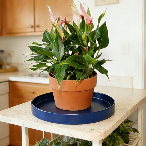 1 Pack 12 inch Plant Saucer Drip Tray, Heavy Sturdy Plastic Planter Flower Pot Drainage Tray Plate Saucers for Indoor Outdoor Garden, Plant Water Drip Trays for pots Base (12", Blue) - color: Blue, size: 12" - 1Pcs