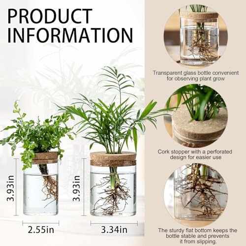 Plant Propagation Stations for Plants, 2 Size Glass Propagation Vases for Propagating Hydroponic Indoor Home Office Decor, Tabletop Glass Planter Gift for Plant Lovers (6)