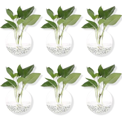 Hanging Wall Planters Pack of 6 Glass Planter Pots Round Glass Flower Vases Hanging Propagation Station Glass Plant Hanger Terrariums Wall Hanging Plant Container