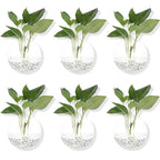 Hanging Wall Planters Pack of 6 Glass Planter Pots Round Glass Flower Vases Hanging Propagation Station Glass Plant Hanger Terrariums Wall Hanging Plant Container