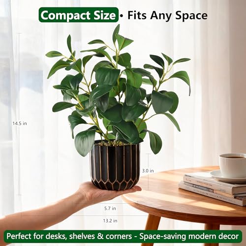 florisso Artificial Succulents with Fig Leaf Greenery in Black & Gold Planter, Fake Succulents Potted Decor for Farmhouse, Bathroom, Bedroom, Kitchen, Office Desk and Coffee Table (Black Gold) - color: Black & Gold Plastic Planter
