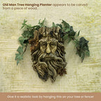 Bits and Pieces - 'Old Man' Tree Hanging Planter - Yard Decorations - Whimsical Tree Sculpture - Indoor/Outdoor Decoration - Garden Peeker Yard Art