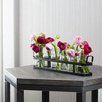 6pc Glass Flower Vase with Metal Holder, Best Vases Set for Home & Table Decor Flowers, Wedding Decorations, Kitchen, Bathroom, Bedroom, Modern Shelf Decor, Terrarium Arrangement