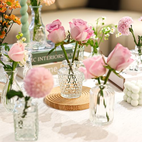 Arme 20 Pcs Bud Vase Set, Mini Vases for Flowers, Small Vintage Glass Vase for Centerpieces, Cute Clear Bud Vases for Home Flower Wedding Decorations - color: Clear-20pcs, size: 20 Pcs