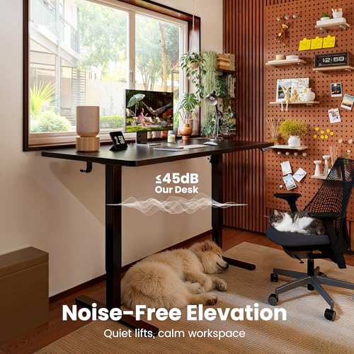 ErGear Height Adjustable Electric Standing Desk, 55 x 28 Inches Sit Stand up Desk, Memory Computer Home Office Desk, Black - color: Black, size: 55.1 x 27.6 Inches