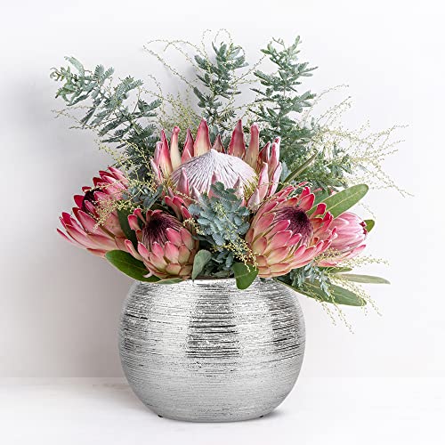 Silver Planter Pot Indoor Decorative Centerpiece Round Flower Vase Metallic Ball Plants Pot Flower Planter Succulent Pots Sphere Plant Pots - color: Silver
