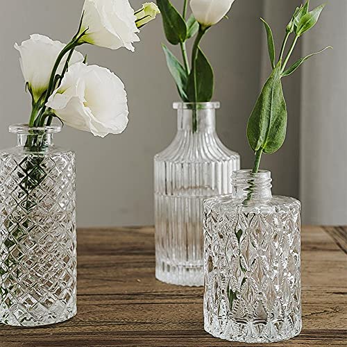 Mini Clear Glass Vase,Small Flower Bud Vase Hydroponics Planter Decorative for Flower,Table,Party,Home,Centerpieces(Clear 6) - color: Clear 6