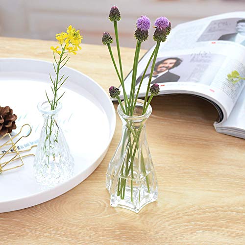 Set of 3 Mini Clear Glass Vase,Small Flower Bud Vase Hydroponics Planter Decorative for Flower,Table,Party,Home,Centerpieces(Clear 5) - color: Clear 5